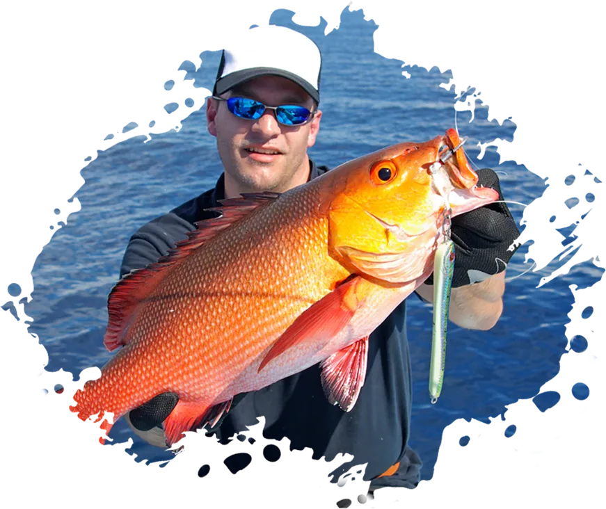 Modern Design Exotic Fishinizerry - 优直播
