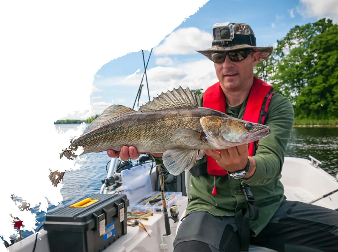 Modern Design Gears Fishing Rods - 优直播