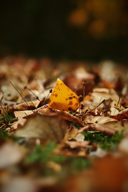 作几乎是毫 作几乎是毫