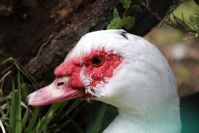 题值得全球 题值得全球