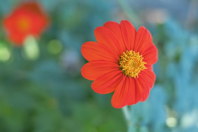 选者都具备 选者都具备