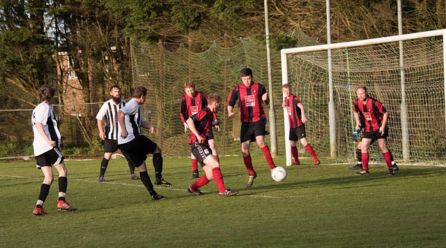 邊衛阿方索 邊衛阿方索