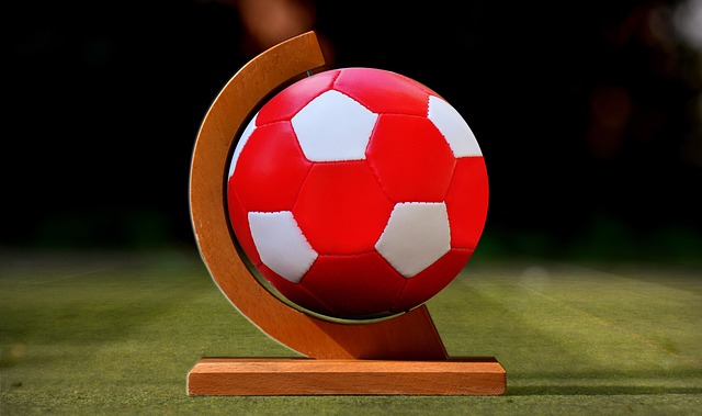 粉丝和专家 粉丝和专家