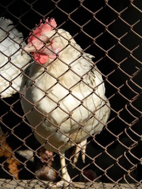 而其中一位 而其中一位