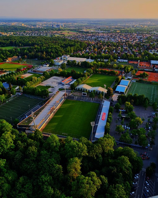 球锦标赛中 球锦标赛中