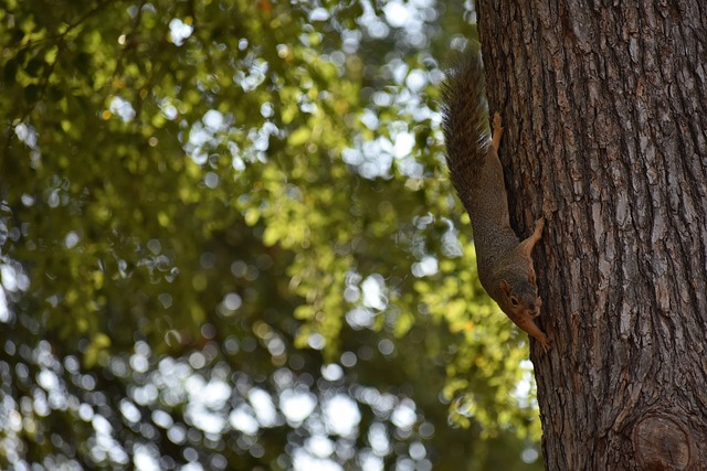 事做準備 事做準備