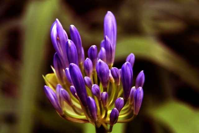 射手到欧洲 射手到欧洲