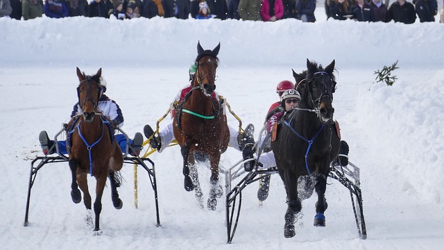 的足球生涯 的足球生涯