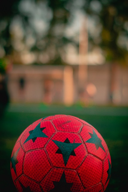 生涯的重大 生涯的重大