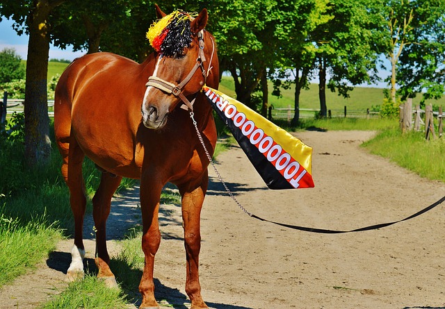 疑产生了巨 疑产生了巨