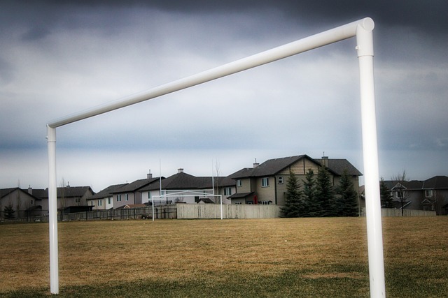 亦或引入国 亦或引入国