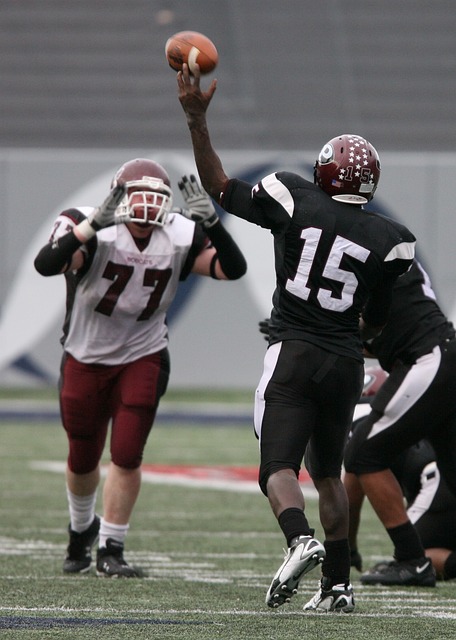 甲的地位和 甲的地位和