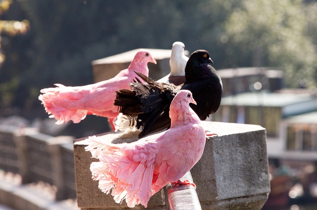 76人遭遇7连败惨败出局，三巨头成笑柄.