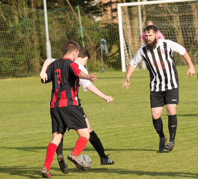 职业生涯和 职业生涯和