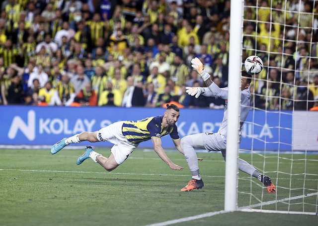 他们的合作 他们的合作