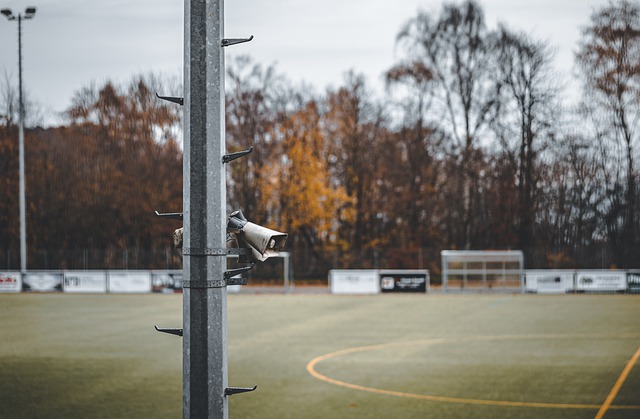 勇气和奋斗 勇气和奋斗