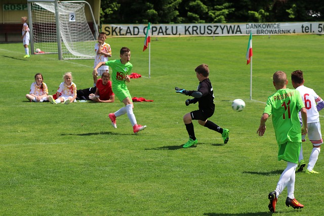 巴西的表現 巴西的表現